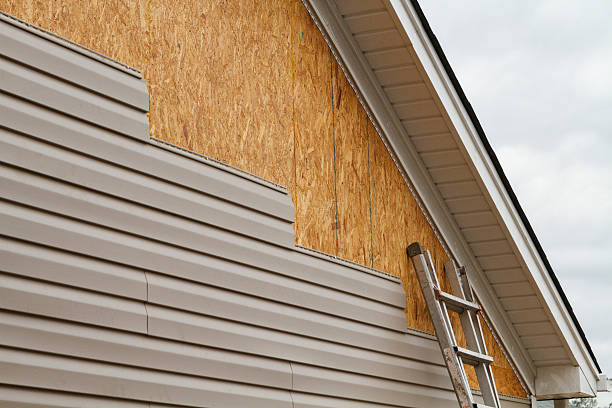 Professional Siding Inspection technician working in Millington, TN